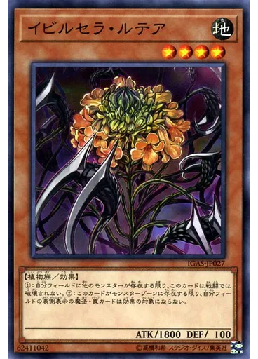 イビルセラ・ルテア