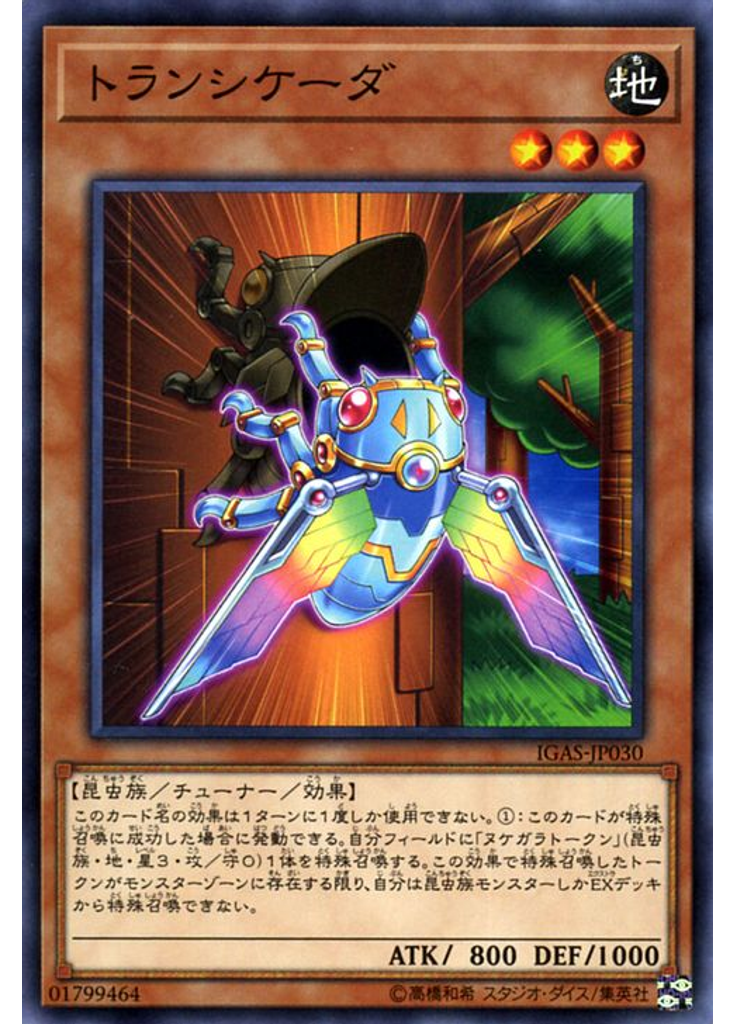 トランシケーダ