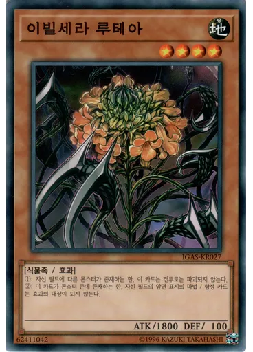 이빌세라 루테아
