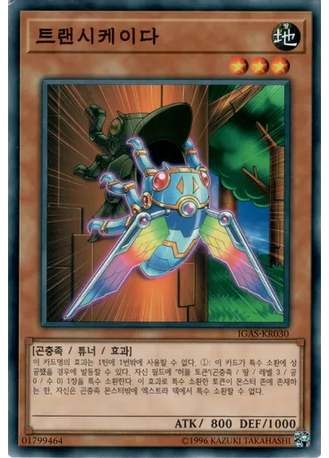 트랜시케이다