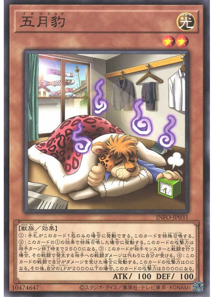 五月豹