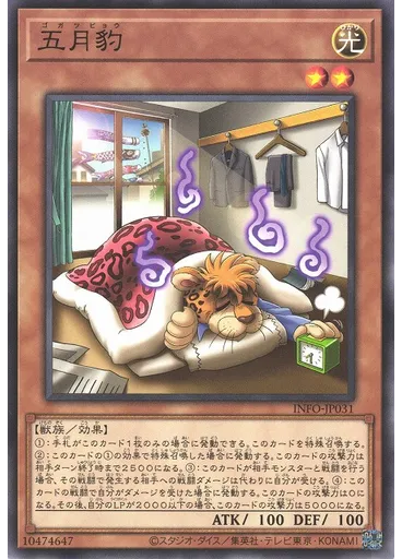 五月豹