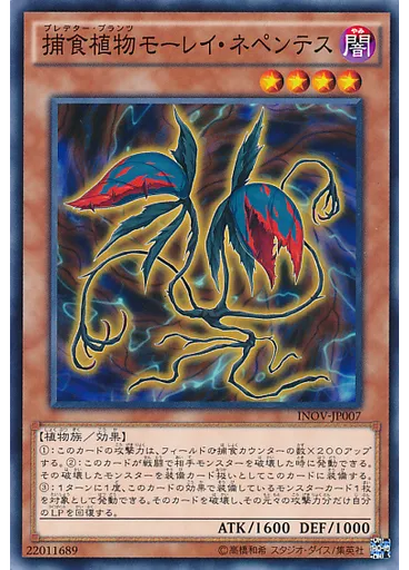 捕食植物モーレイ・ネペンテス