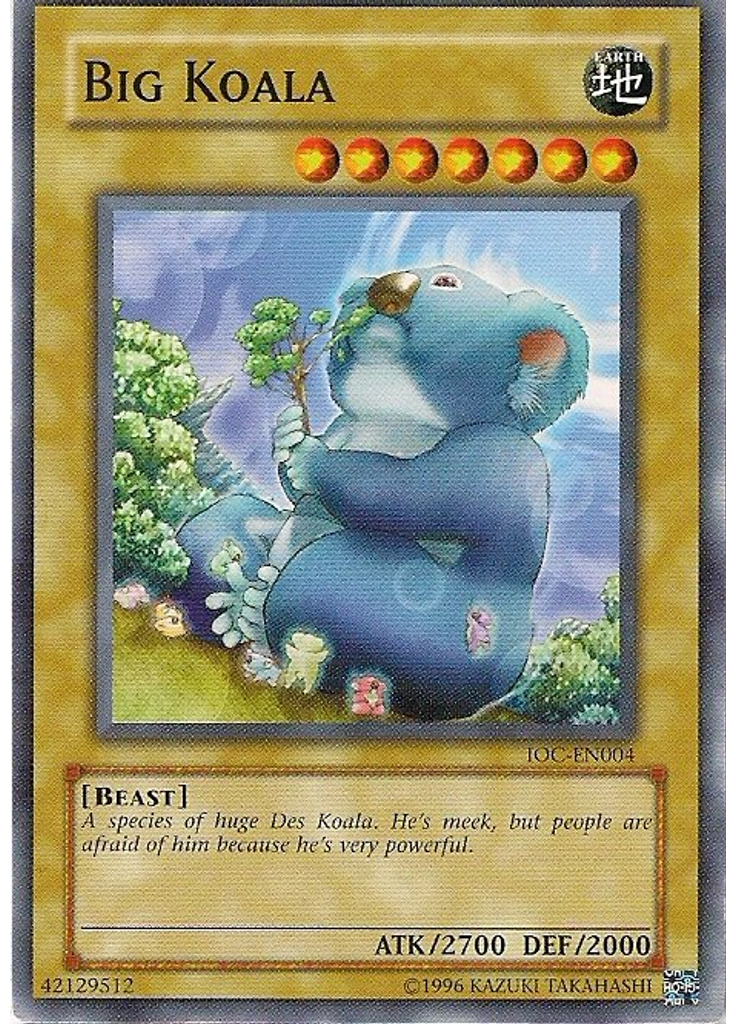 Big Koala