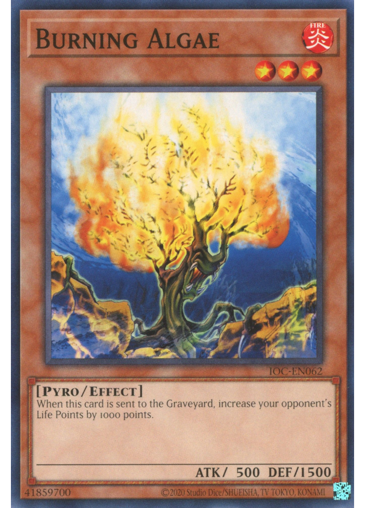 Burning Algae (Common Unlimited 25th Anniversary Edition)