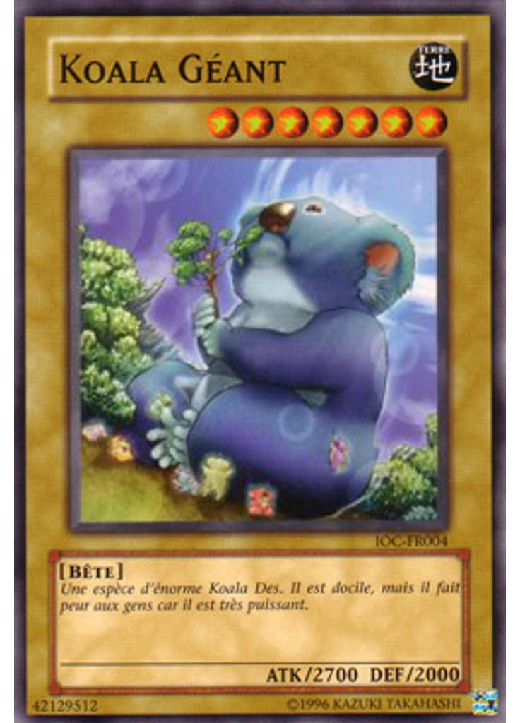 Koala Géant