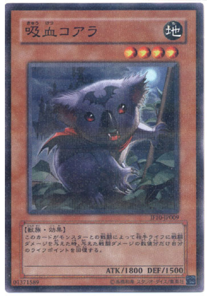 吸血コアラ