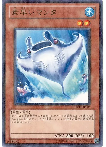 素早いマンタ