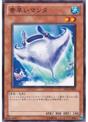 素早いマンタ