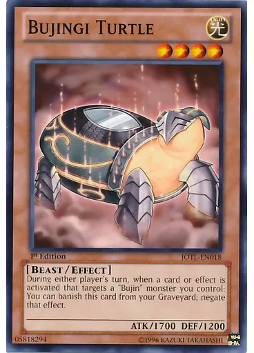 Bujingi Turtle