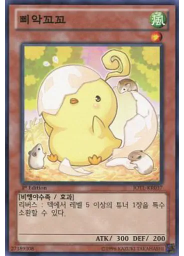 삐악꼬꼬