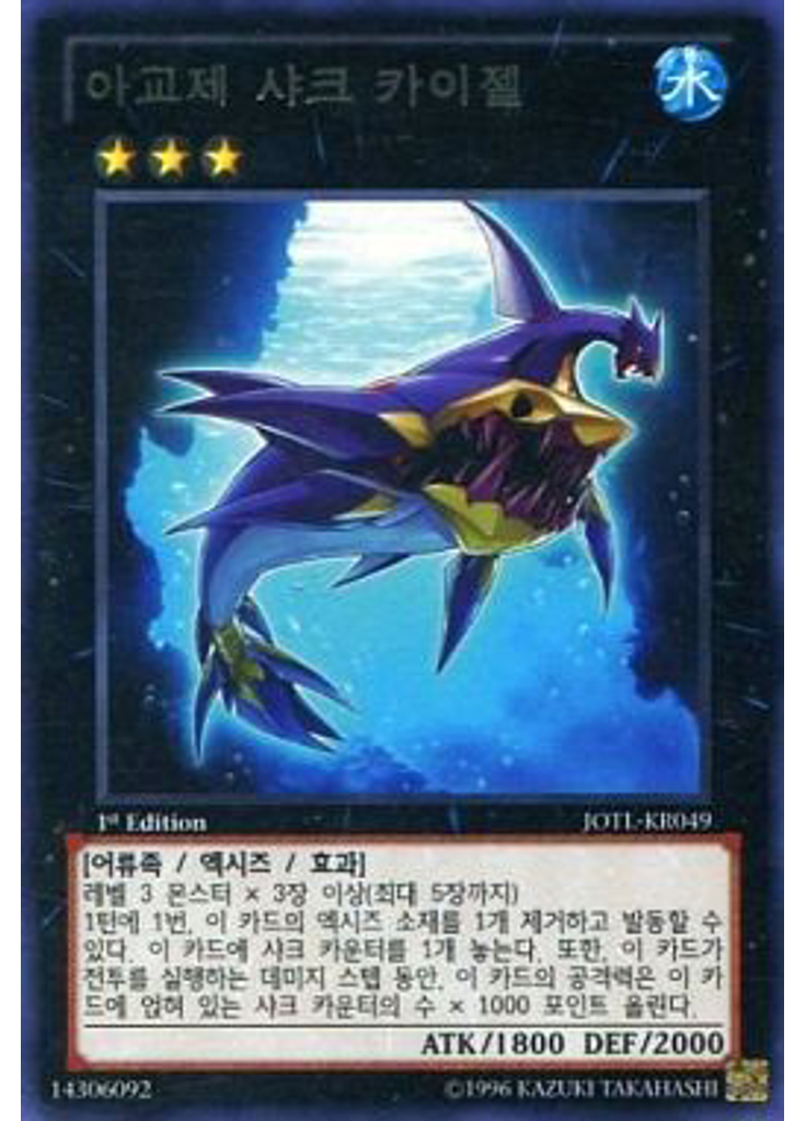 아교제 샤크 카이젤