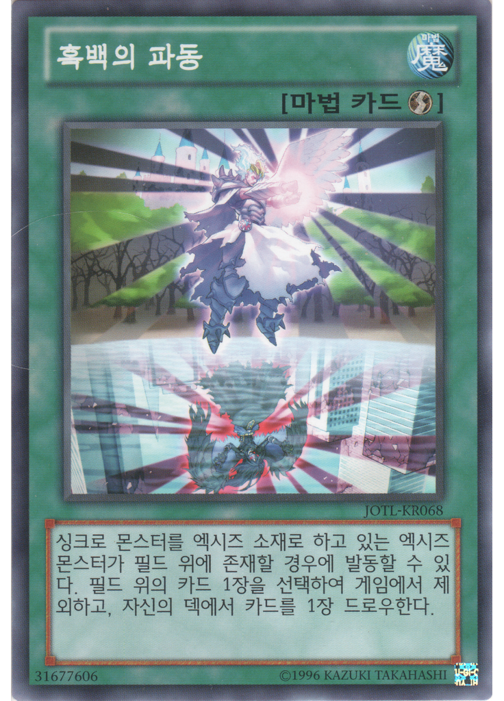 흑백의 파동 (Common Unlimited)