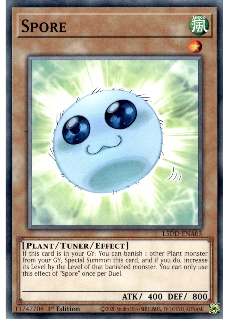 Spore