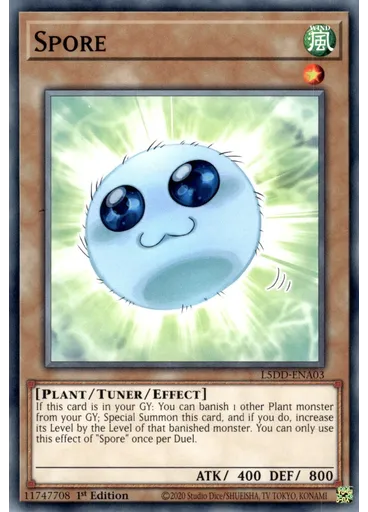 Spore
