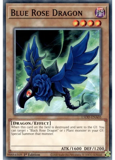 Blue Rose Dragon