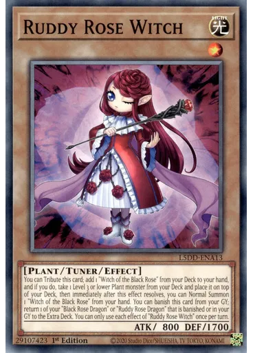Ruddy Rose Witch