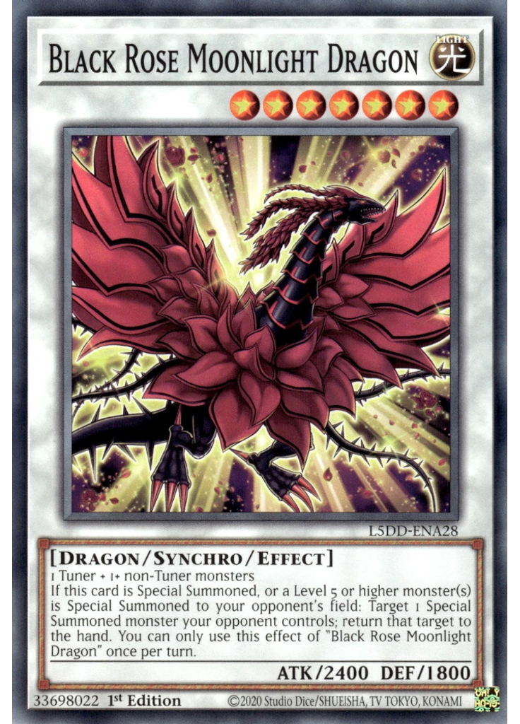 Black Rose Moonlight Dragon