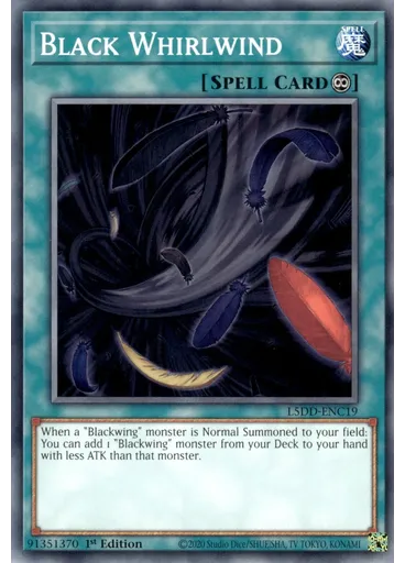Black Whirlwind