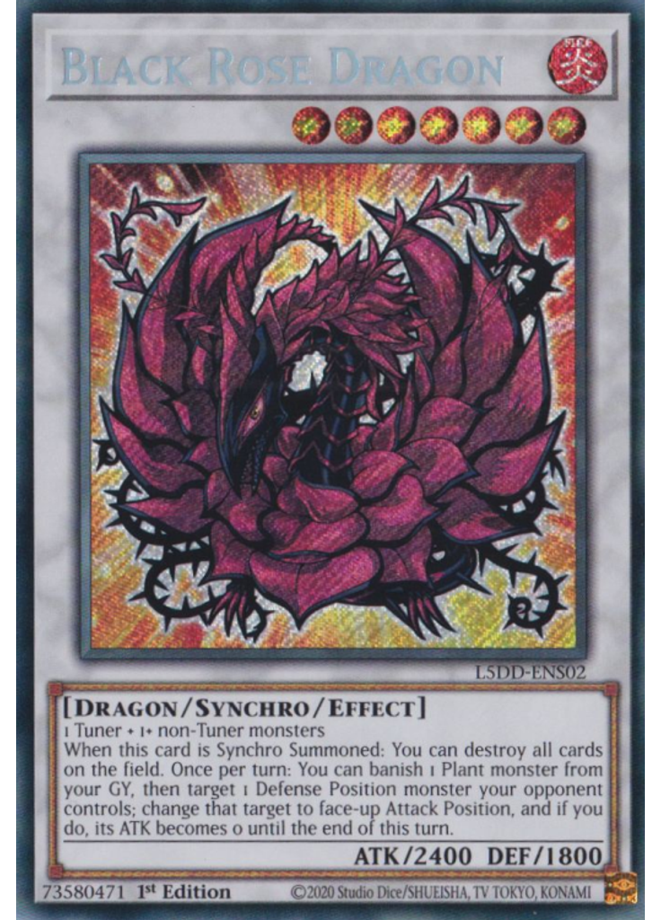 Black Rose Dragon
