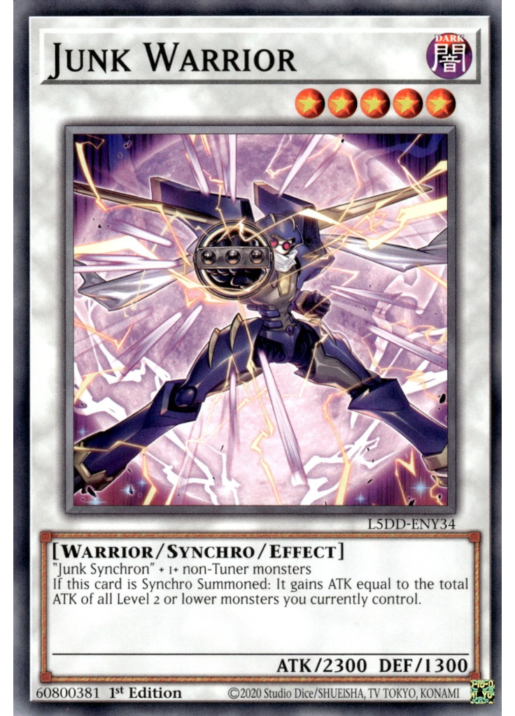 Junk Warrior