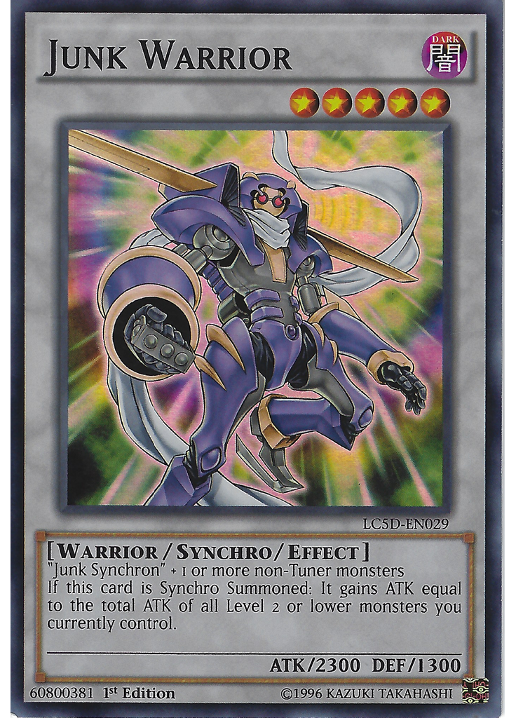 Junk Warrior