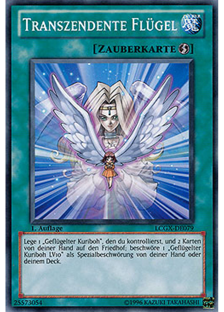 Transzendente Flügel