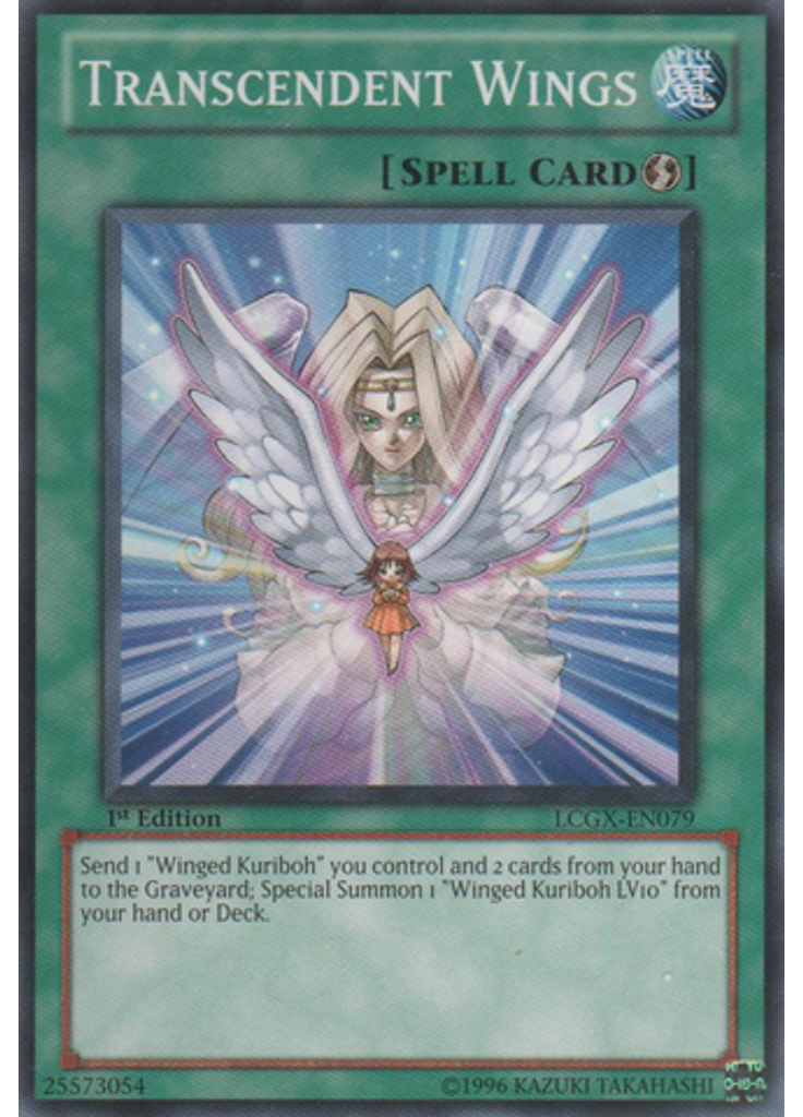 Transcendent Wings