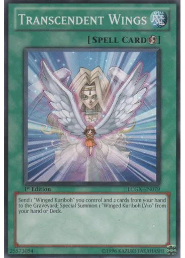Transcendent Wings