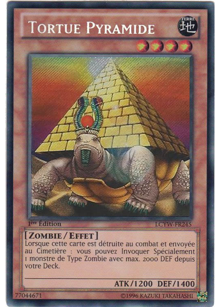 Tortue Pyramide