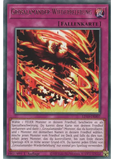 Grosalamander-Wiederbelebung