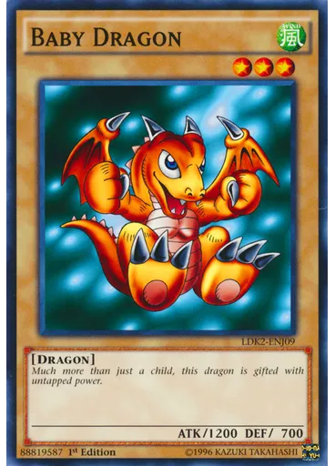 Baby Dragon