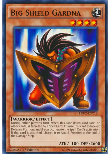 Big Shield Gardna