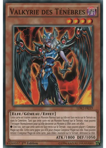 Valkyrie des Ténèbres