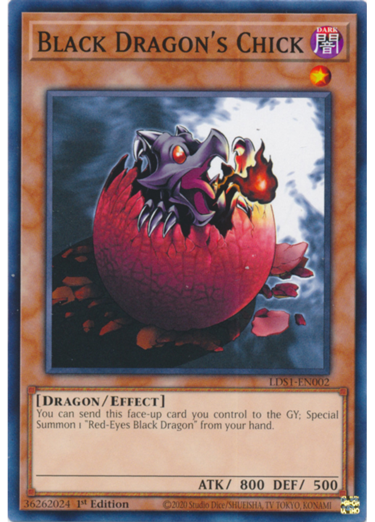 Black Dragon's Chick