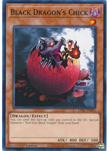 Black Dragon's Chick
