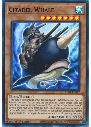 Citadel Whale
