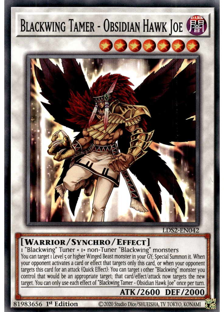 Blackwing Tamer - Obsidian Hawk Joe