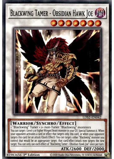 Blackwing Tamer - Obsidian Hawk Joe