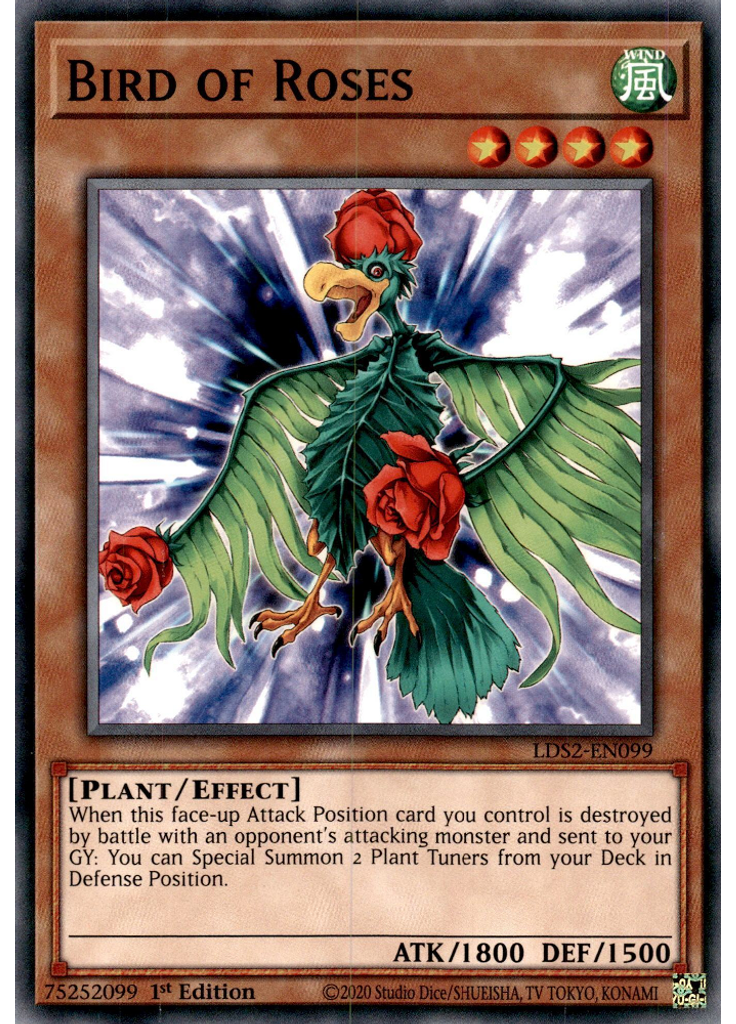 Bird of Roses