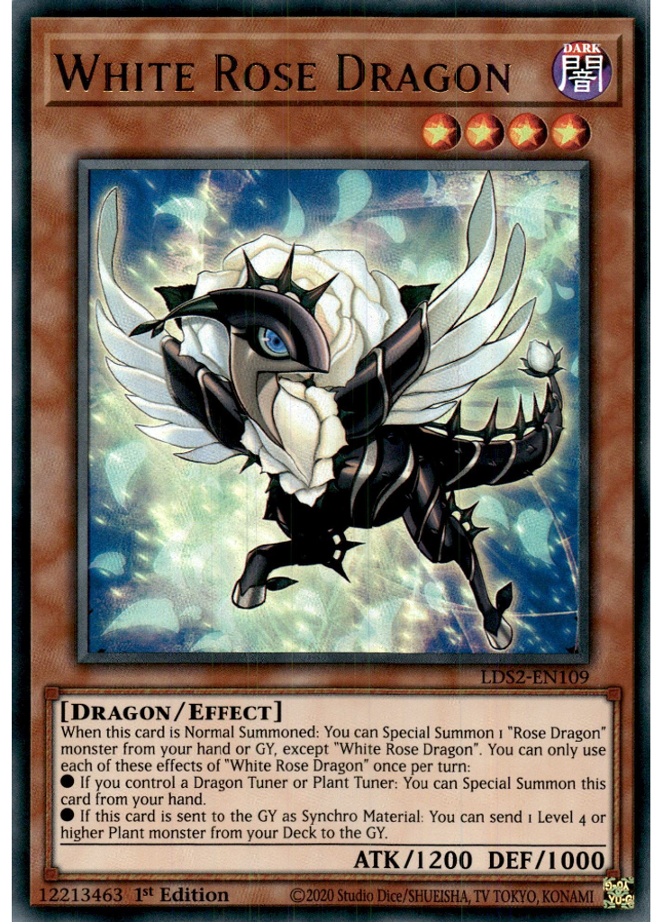 White Rose Dragon