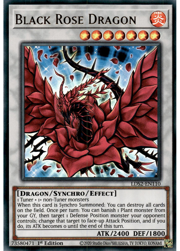 Black Rose Dragon