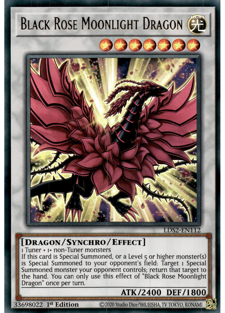 Black Rose Moonlight Dragon