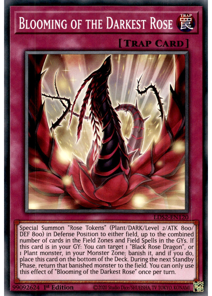 Blooming of the Darkest Rose