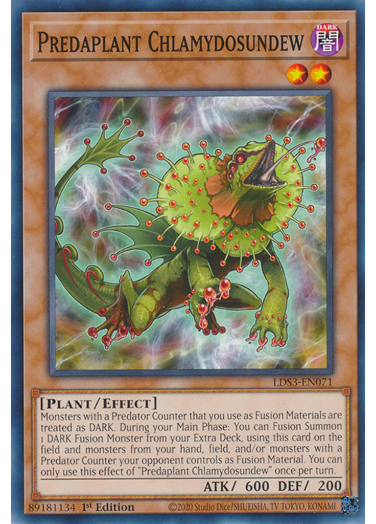 Predaplant Chlamydosundew