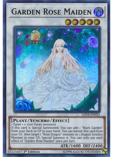 Garden Rose Maiden