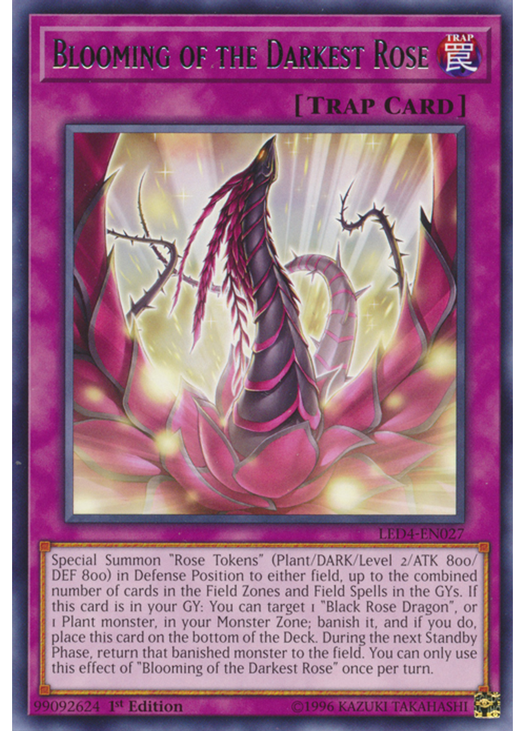 Blooming of the Darkest Rose