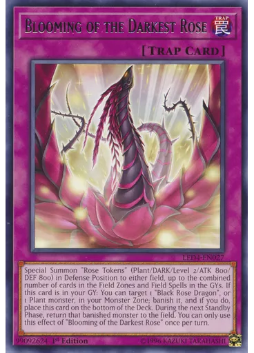 Blooming of the Darkest Rose