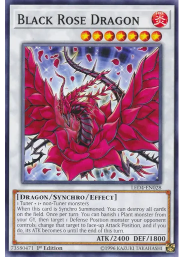 Black Rose Dragon