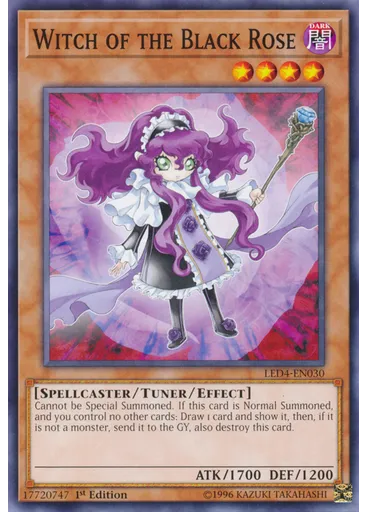Witch of the Black Rose